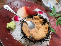 活海胆-熹炭精致日料(金融街购物中心店)