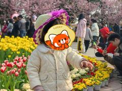 -南山植物园