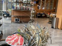 -阿杜打边炉(五江天街店)