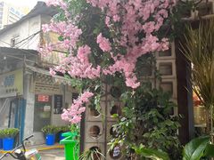 -循礼门鲜花花市(武汉循礼门店)