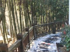 -江南天池