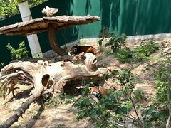 -大连森林动物园