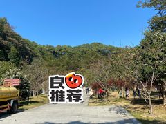 -广州市帽峰山景区