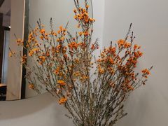 -梅花境(万科店)