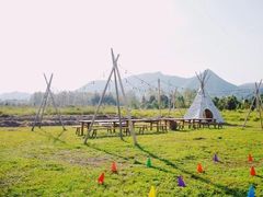 -大唐贡茶院