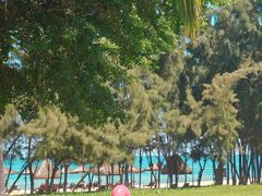 -海南清水湾莱佛士酒店