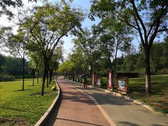 -滨河世纪广场公园