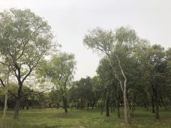 -蜀冈西峰生态公园