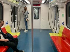 -大望路(地铁站)
