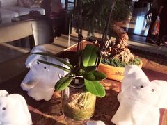 -广州从化都喜泰丽度假温泉酒店