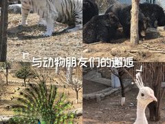 -太原动物园