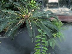 -大妙火锅·非物质文化遗产(东湖公园店)