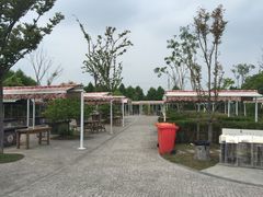 iphone_upload_pic-上海海湾国家森林公园