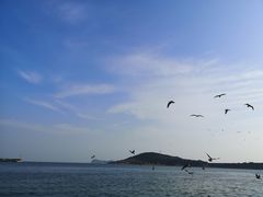 -海驴岛(荣成市)