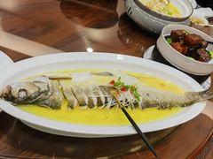 -鲁宴·鲁煨黄河生态大鲤鱼(月坛店)