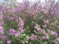 -长春公园(普阳街道)