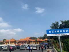 -三水森林公园