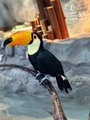 -Zoolung Zoolung动物主题公园(海信广场店)