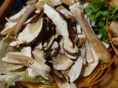 -易门野生菌府·菌海森林(月牙潭公园店)