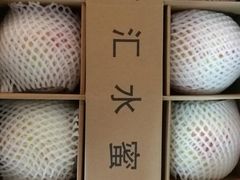 -南汇水蜜桃采摘(大团店)