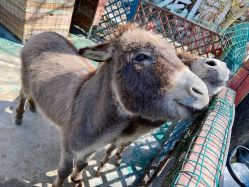 -萌宠亲子动物乐园(槐房万达店)