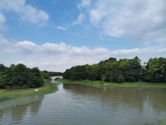 -上海海湾国家森林公园