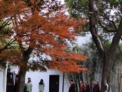 -西园戒幢律寺