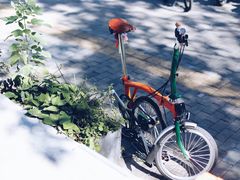 -BE YOLO必有乐&小红帽三明治