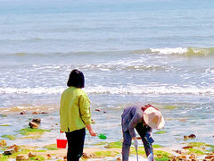 -刘家湾赶海园