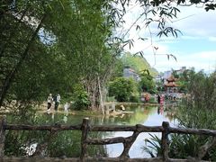 -靖西鹅泉风景区
