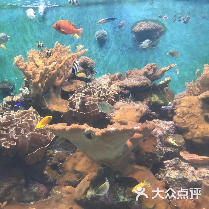 半塘秋水水族图片