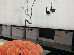 -BLACKSWAN黑天鹅(环球店)