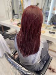 -镁连社·美联社