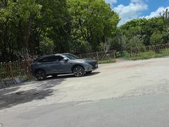 -马陆小张葡萄园农家乐