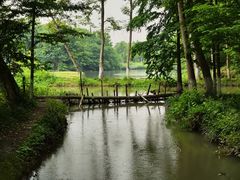 -桤木河湿地公园