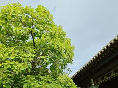 -张学良旧居陈列馆