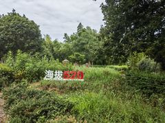 -乌石村