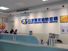 -北京观赏动物医院·24小时大型综合·猫专科·异宠专科