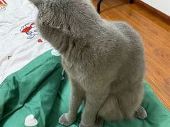 -古茗(龙汇广场店)