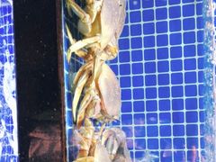 -徽三说·土徽菜·中国徽菜连锁品牌(一中店)