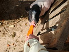 -祥源·阜阳生态乐园