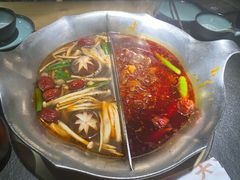 珍鲜菌菇锅-湊湊火锅·茶憩(石家庄万象城店)