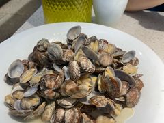 -船歌·鱼水饺青岛菜(金狮广场店)