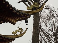 -龙潭水乡