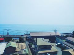-伊豆观海列车