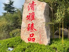 -清雅臻品·竹林院落·新派青岛菜(崂山店)