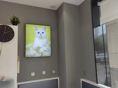 -关爱宠物医院·猫科中心·消化科(滨湖万达分院)