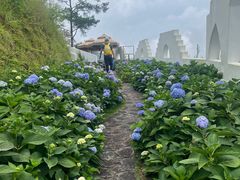 -龙岩森林水乡景区