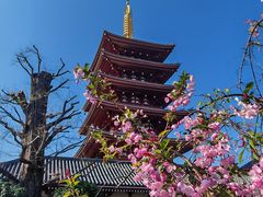 -浅草寺