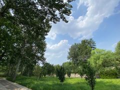 -元大都城垣遗址公园